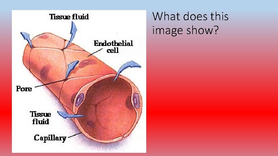 What does this image show? 