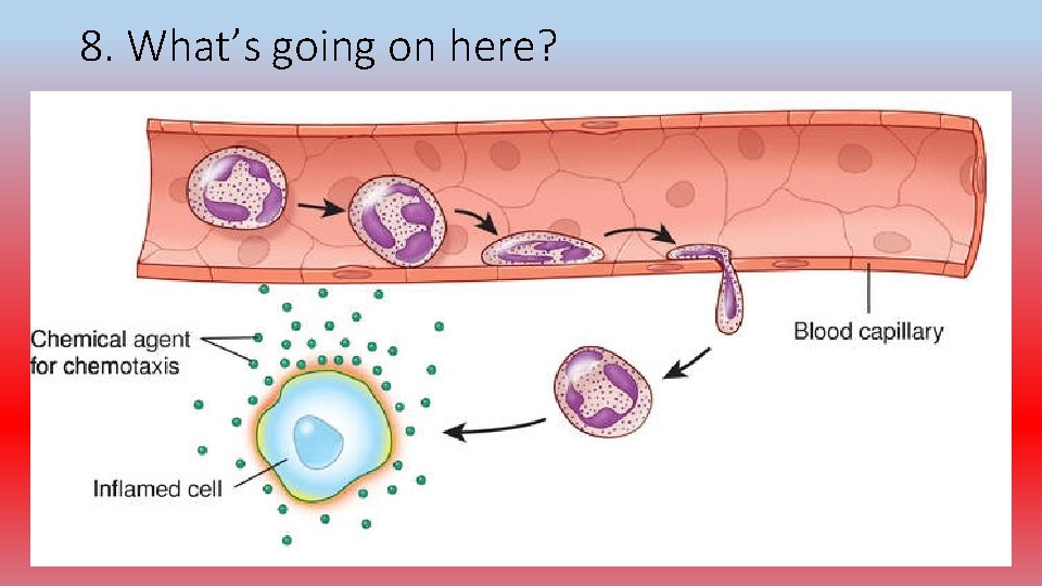 8. What’s going on here? 
