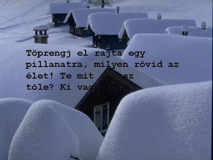 Töprengj el rajta egy pillanatra, milyen rövid az élet! Te mit akarsz tõle? Ki Töprengj el rajta egy pillanatra, milyen rövid az élet! Te mit akarsz tõle? Ki