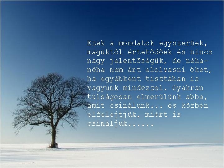 Ezek a mondatok egyszerûek, maguktól értetõdõek és nincs nagy jelentõségük, de néha nem árt Ezek a mondatok egyszerûek, maguktól értetõdõek és nincs nagy jelentõségük, de néha nem árt
