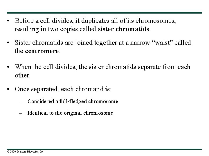  • Before a cell divides, it duplicates all of its chromosomes, resulting in