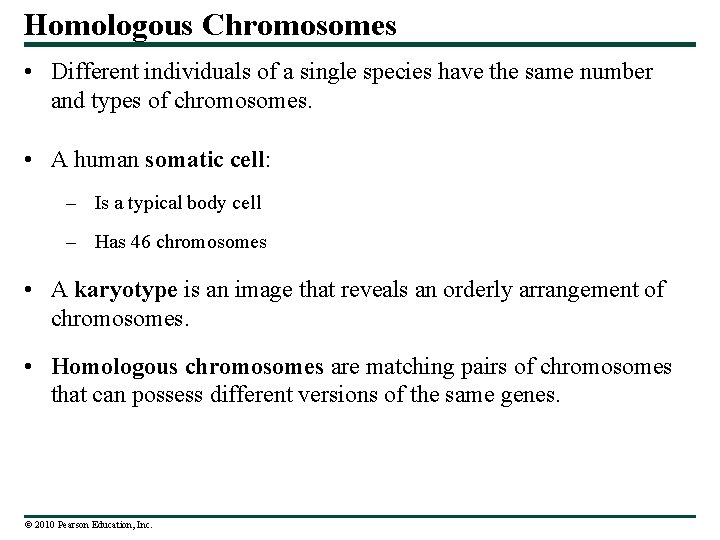 Homologous Chromosomes • Different individuals of a single species have the same number and