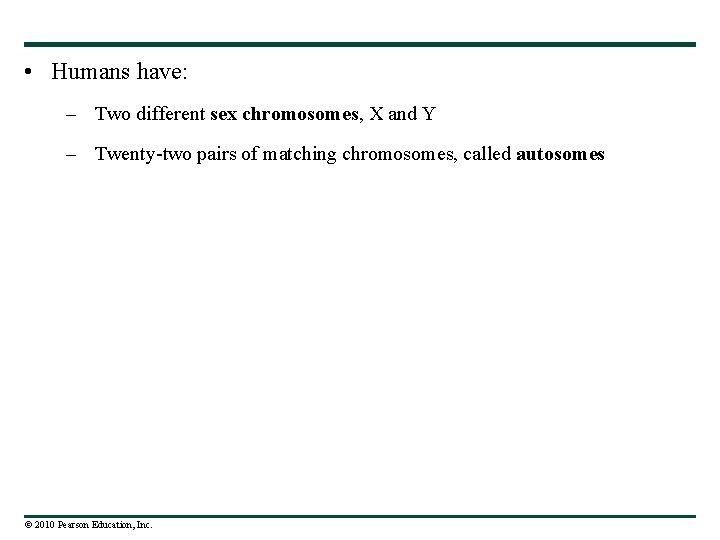  • Humans have: – Two different sex chromosomes, X and Y – Twenty-two