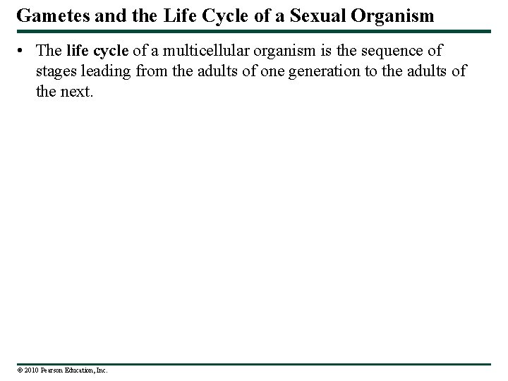 Gametes and the Life Cycle of a Sexual Organism • The life cycle of