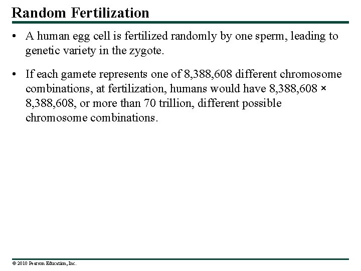 Random Fertilization • A human egg cell is fertilized randomly by one sperm, leading