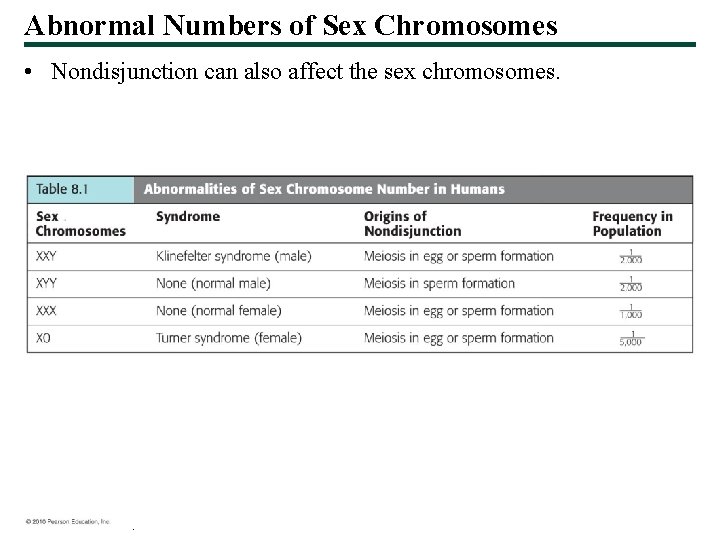 Abnormal Numbers of Sex Chromosomes • Nondisjunction can also affect the sex chromosomes. ©