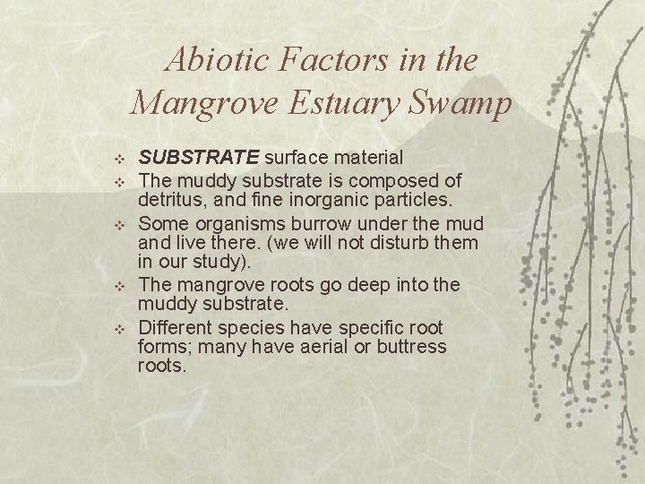 Abiotic Factors in the Mangrove Estuary Swamp v v v SUBSTRATE surface material The Abiotic Factors in the Mangrove Estuary Swamp v v v SUBSTRATE surface material The