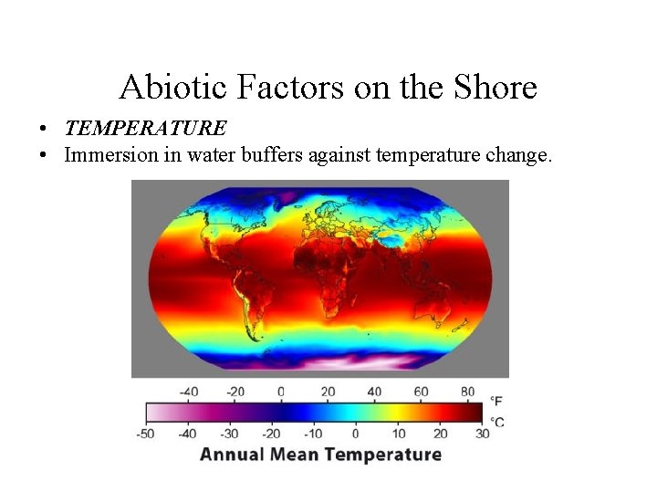Abiotic Factors on the Shore • TEMPERATURE • Immersion in water buffers against temperature Abiotic Factors on the Shore • TEMPERATURE • Immersion in water buffers against temperature