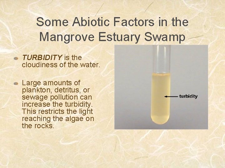Some Abiotic Factors in the Mangrove Estuary Swamp TURBIDITY is the cloudiness of the Some Abiotic Factors in the Mangrove Estuary Swamp TURBIDITY is the cloudiness of the