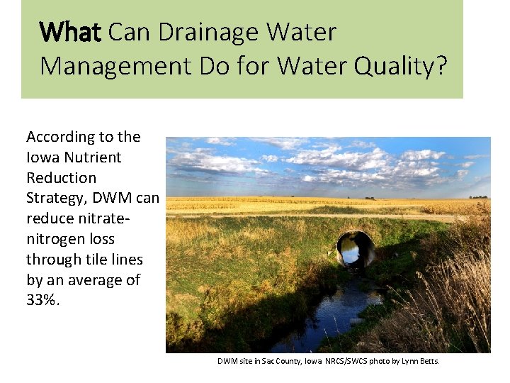 What Can Drainage Water Management Do for Water Quality? According to the Iowa Nutrient