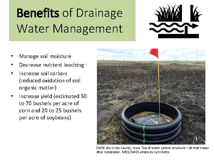 Benefits of Drainage Water Management • Manage soil moisture • Decrease nutrient leaching •