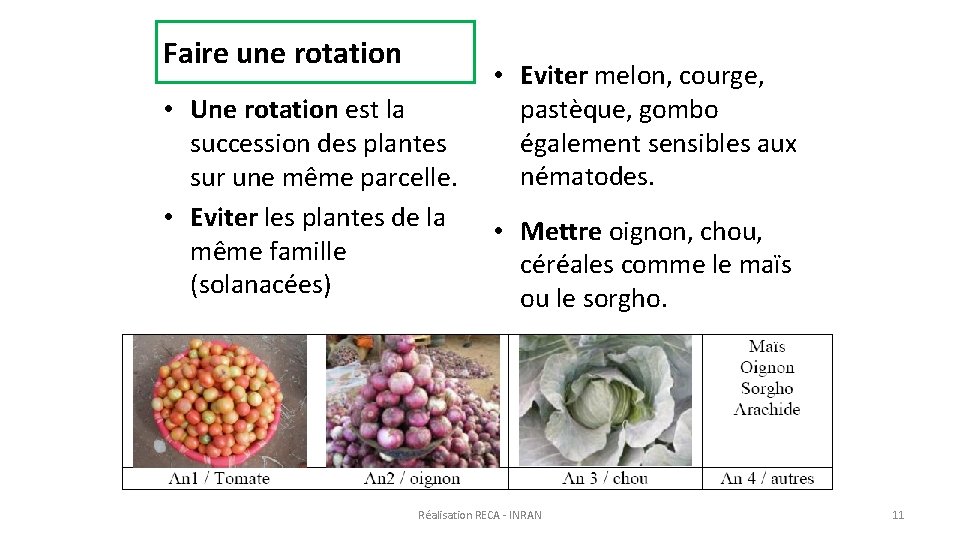 Faire une rotation • Une rotation est la succession des plantes sur une même