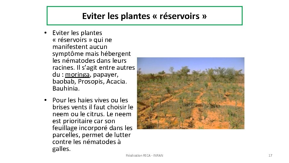 Eviter les plantes « réservoirs » • Eviter les plantes « réservoirs » qui