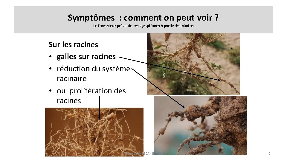 Symptômes : comment on peut voir ? Le formateur présente ces symptômes à partir