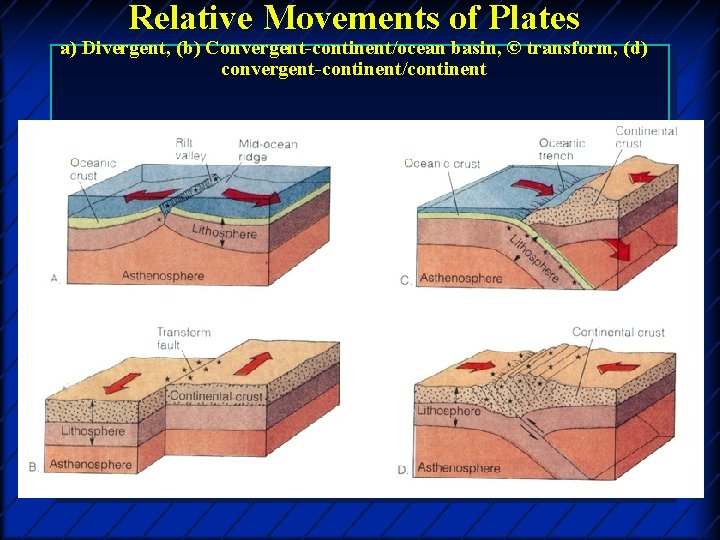 Relative Movements of Plates a) Divergent, (b) Convergent-continent/ocean basin, © transform, (d) convergent-continent/continent 