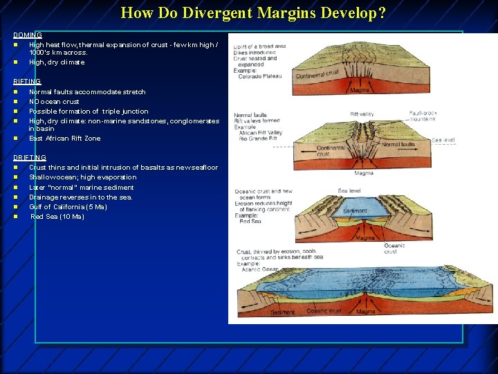 How Do Divergent Margins Develop? DOMING n High heat flow, thermal expansion of crust