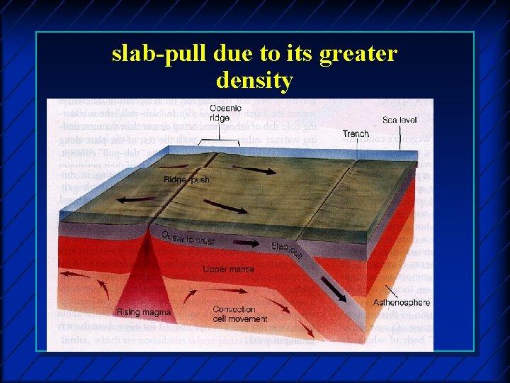 slab-pull due to its greater density 