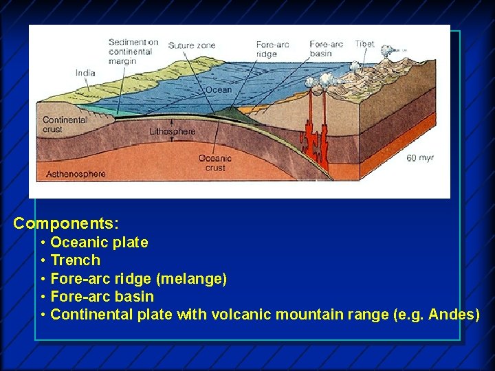 Components: • Oceanic plate • Trench • Fore-arc ridge (melange) • Fore-arc basin •