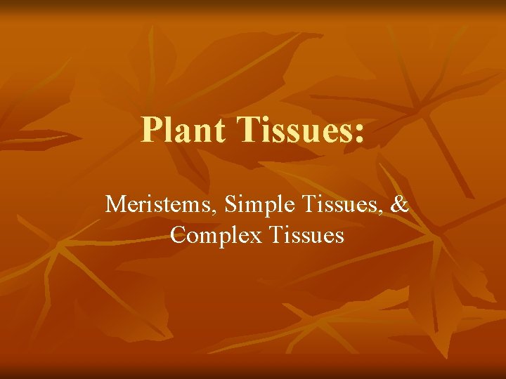 Plant Tissues: Meristems, Simple Tissues, & Complex Tissues 
