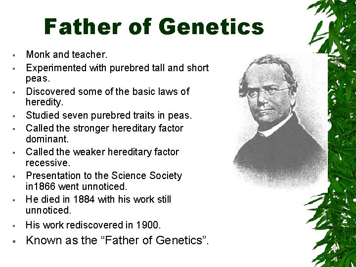 Father of Genetics § § § § Monk and teacher. Experimented with purebred tall