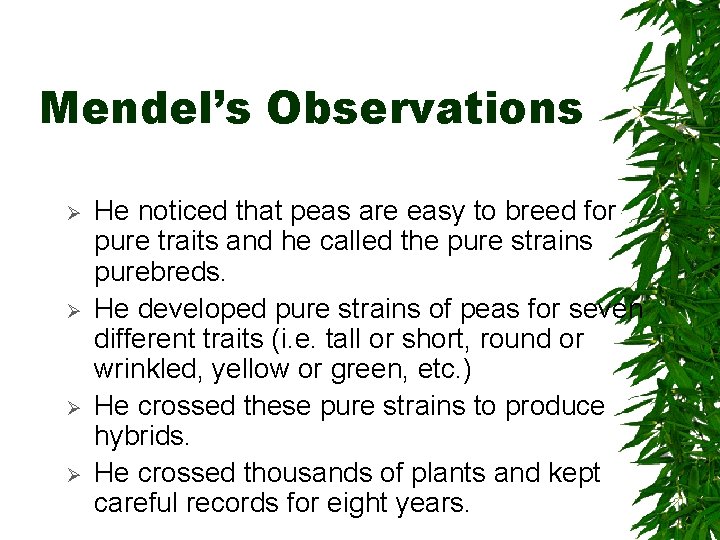 Mendel’s Observations Ø Ø He noticed that peas are easy to breed for pure