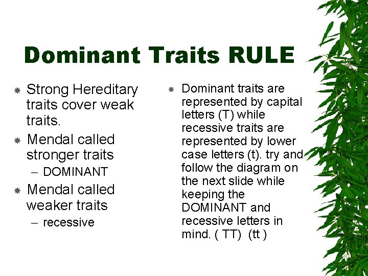 Dominant Traits RULE Strong Hereditary traits cover weak traits. Mendal called stronger traits –