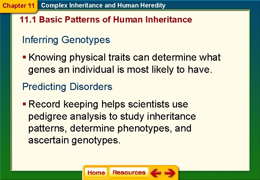 Chapter 11 Complex Inheritance and Human Heredity 11. 1 Basic Patterns of Human Inheritance Chapter 11 Complex Inheritance and Human Heredity 11. 1 Basic Patterns of Human Inheritance