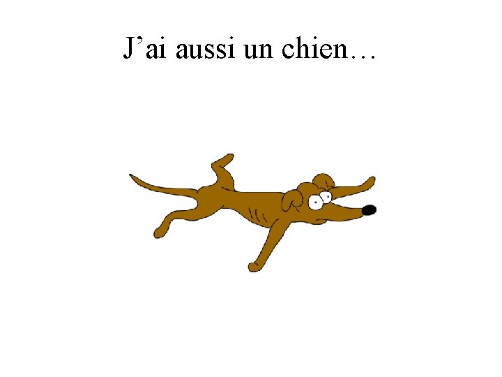 J’ai aussi un chien… 