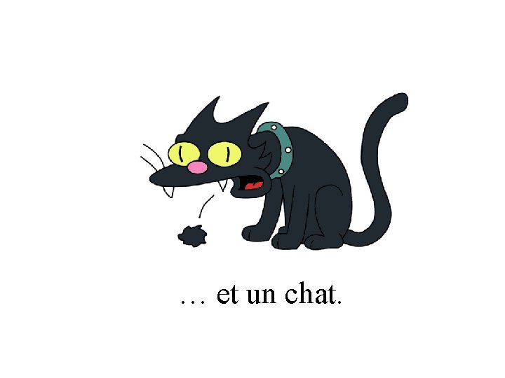 … et un chat. 