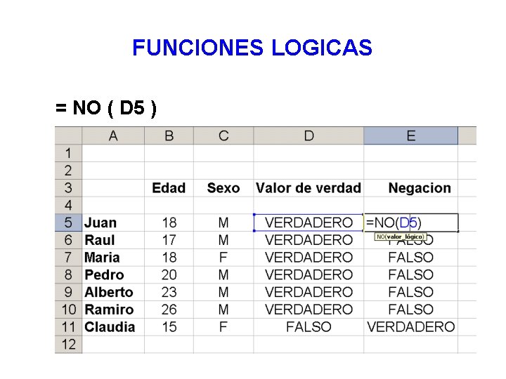 FUNCIONES LOGICAS = NO ( D 5 ) 