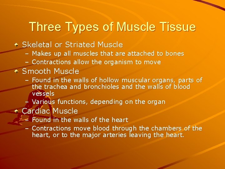 Three Types of Muscle Tissue Skeletal or Striated Muscle – Makes up all muscles