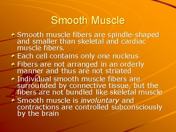 Smooth Muscle Smooth muscle fibers are spindle-shaped and smaller than skeletal and cardiac muscle