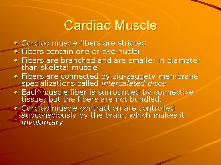 Cardiac Muscle Cardiac muscle fibers are striated Fibers contain one or two nuclei Fibers