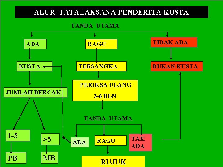 ALUR TATALAKSANA PENDERITA KUSTA TANDA UTAMA ADA TIDAK ADA RAGU KUSTA TERSANGKA BUKAN KUSTA