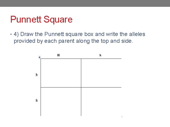 Punnett Square • 4) Draw the Punnett square box and write the alleles provided