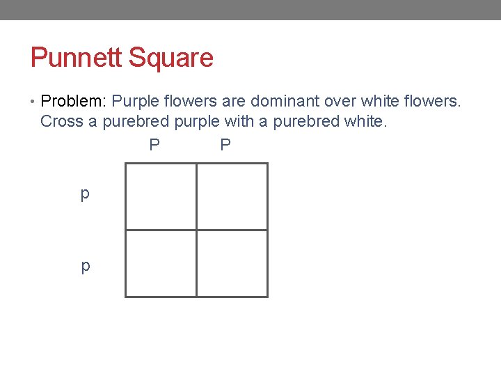 Punnett Square • Problem: Purple flowers are dominant over white flowers. Cross a purebred