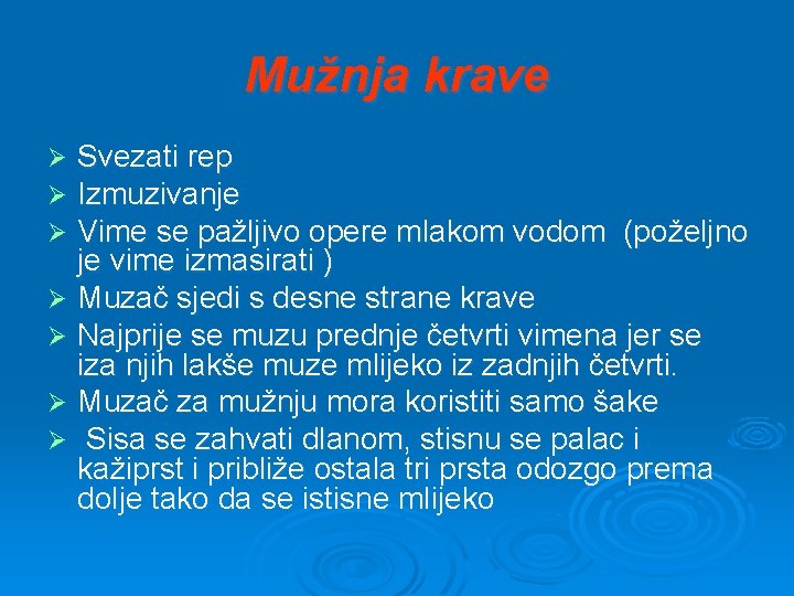 Mužnja krave Svezati rep Izmuzivanje Vime se pažljivo opere mlakom vodom (poželjno je vime