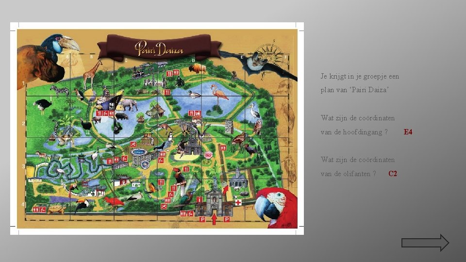 Je krijgt in je groepje een plan van ‘Pairi Daiza’ Wat zijn de coördinaten