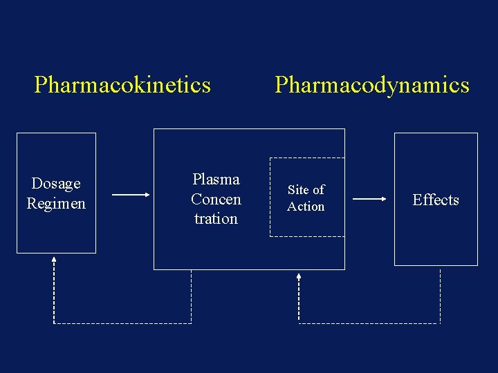 Pharmacokinetics Dosage Regimen Plasma Concen tration Pharmacodynamics Site of Action Effects 