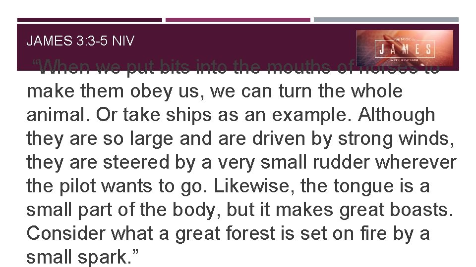 JAMES 3: 3 -5 NIV “When we put bits into the mouths of horses