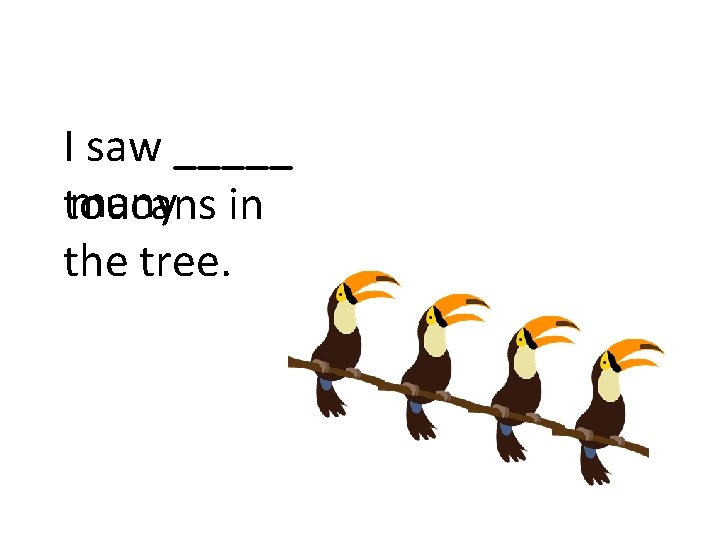 I saw _____ many in toucans the tree. 