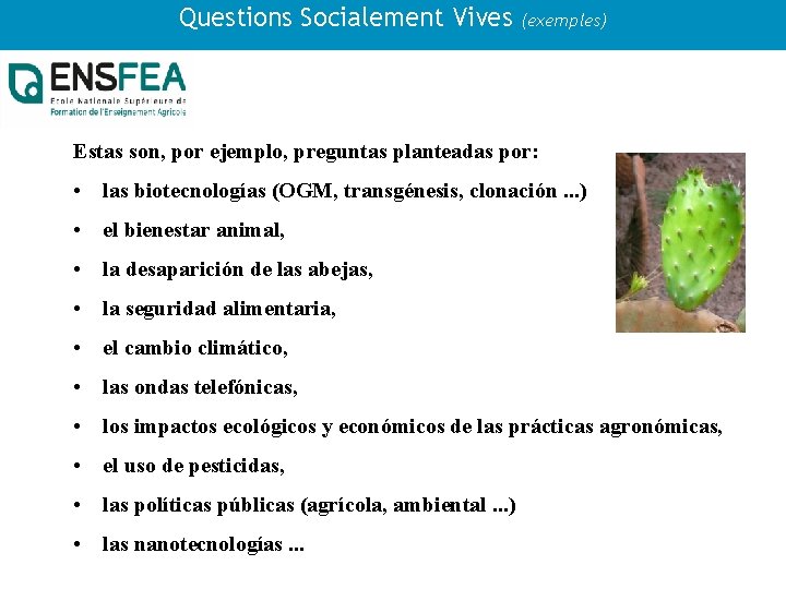 Questions Socialement Vives (exemples) Estas son, por ejemplo, preguntas planteadas por: • las biotecnologías