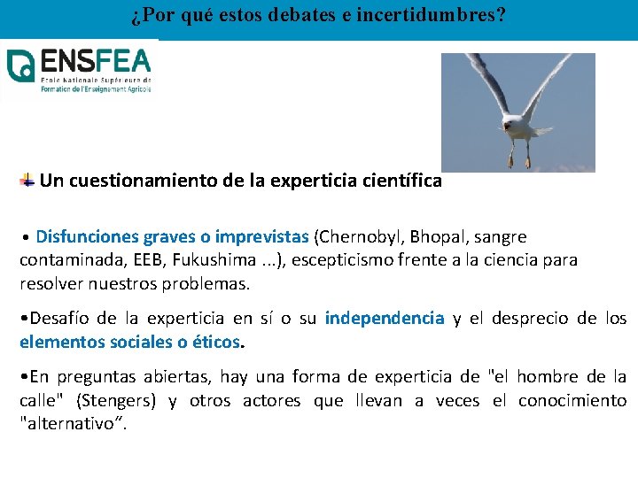 ¿Por qué estos debates e incertidumbres? Un cuestionamiento de la experticia científica • Disfunciones