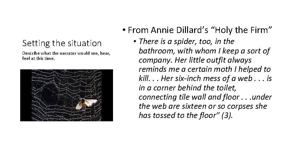  • From Annie Dillard’s “Holy the Firm” Setting the situation Describe what the