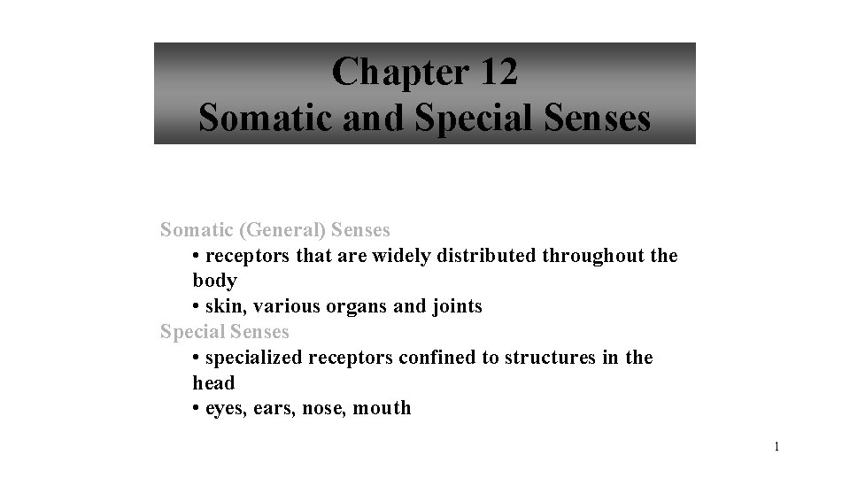 Chapter 12 Somatic and Special Senses Somatic (General) Senses • receptors that are widely