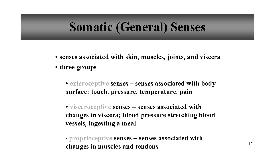 Somatic (General) Senses • senses associated with skin, muscles, joints, and viscera • three