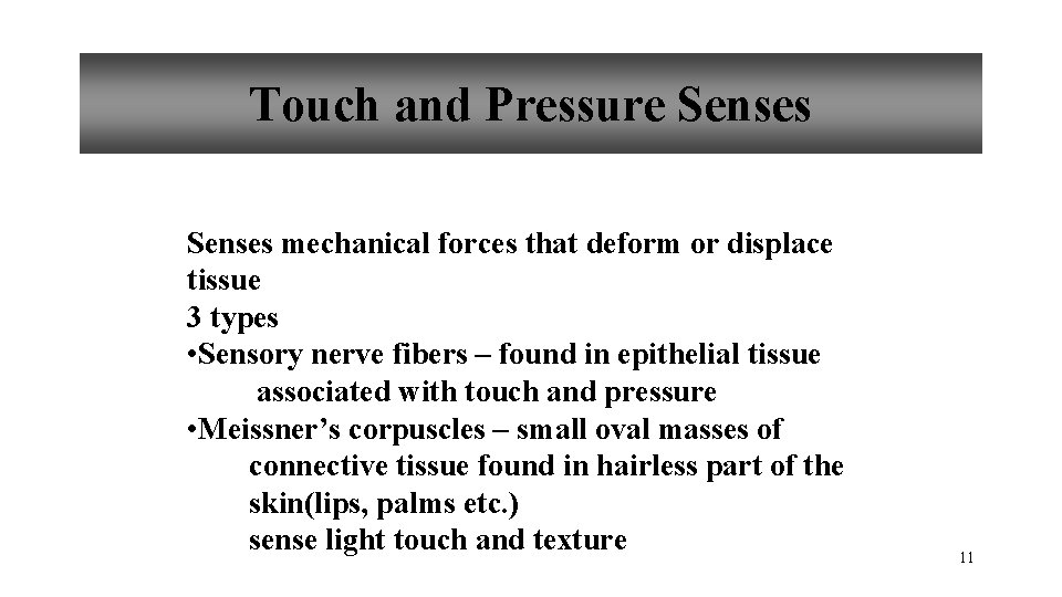 Touch and Pressure Senses mechanical forces that deform or displace tissue 3 types •