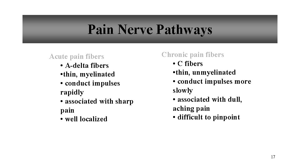 Pain Nerve Pathways Acute pain fibers • A-delta fibers • thin, myelinated • conduct