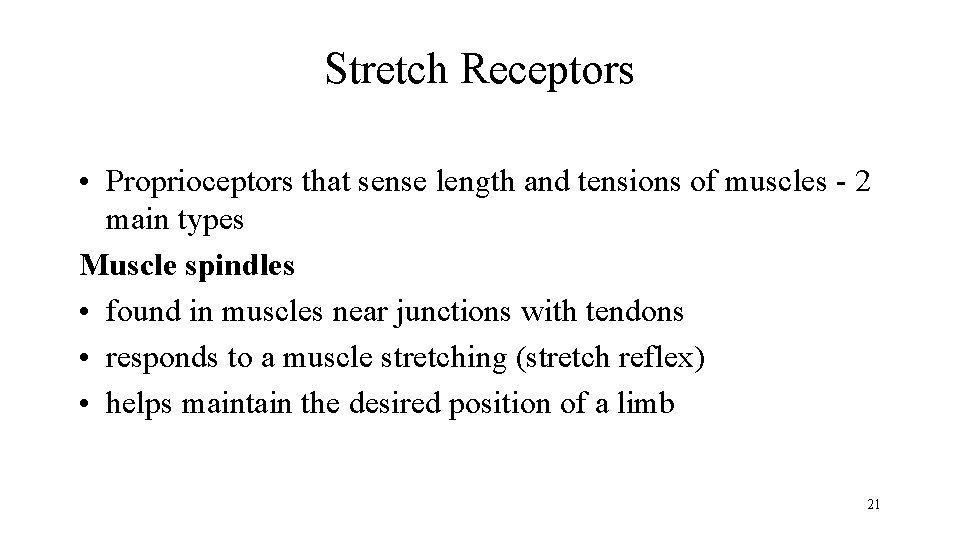 Stretch Receptors • Proprioceptors that sense length and tensions of muscles - 2 main