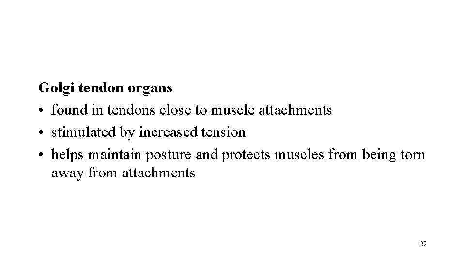 Golgi tendon organs • found in tendons close to muscle attachments • stimulated by